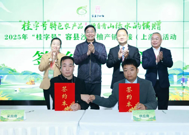桂柚飘香沪上，金果签约超三千万元！容县沙田柚产销对接活动在上海成功举办